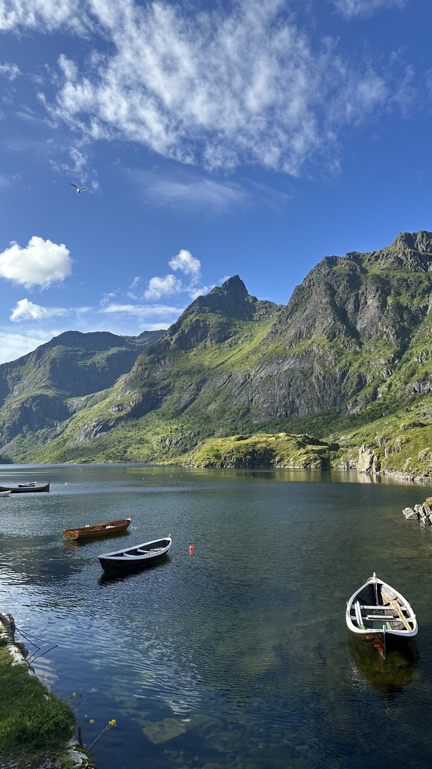 Traditional red rorbu cabins on the waterfront in Lofoten Islands, Norway