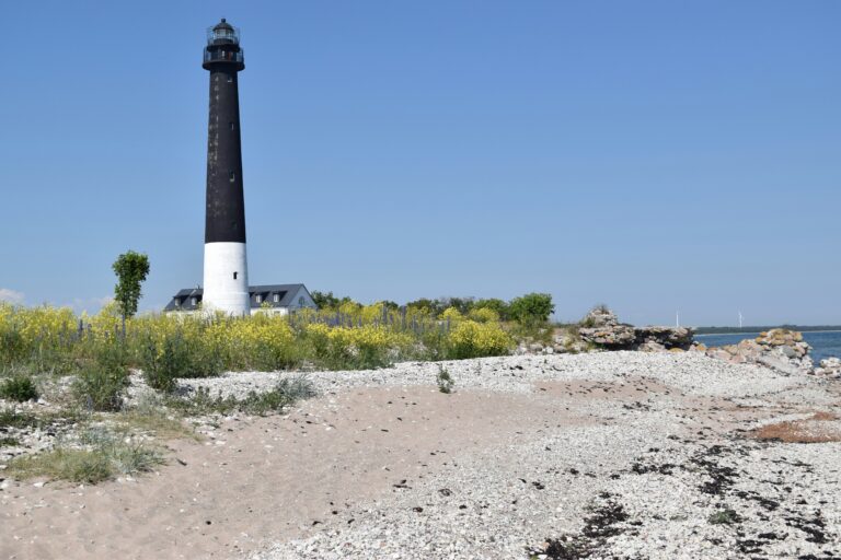 Saaremaa rannik ja tuulikud