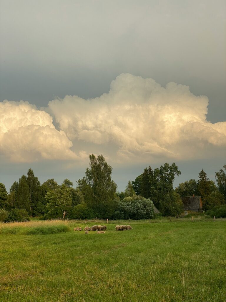 Saaremaa loodus