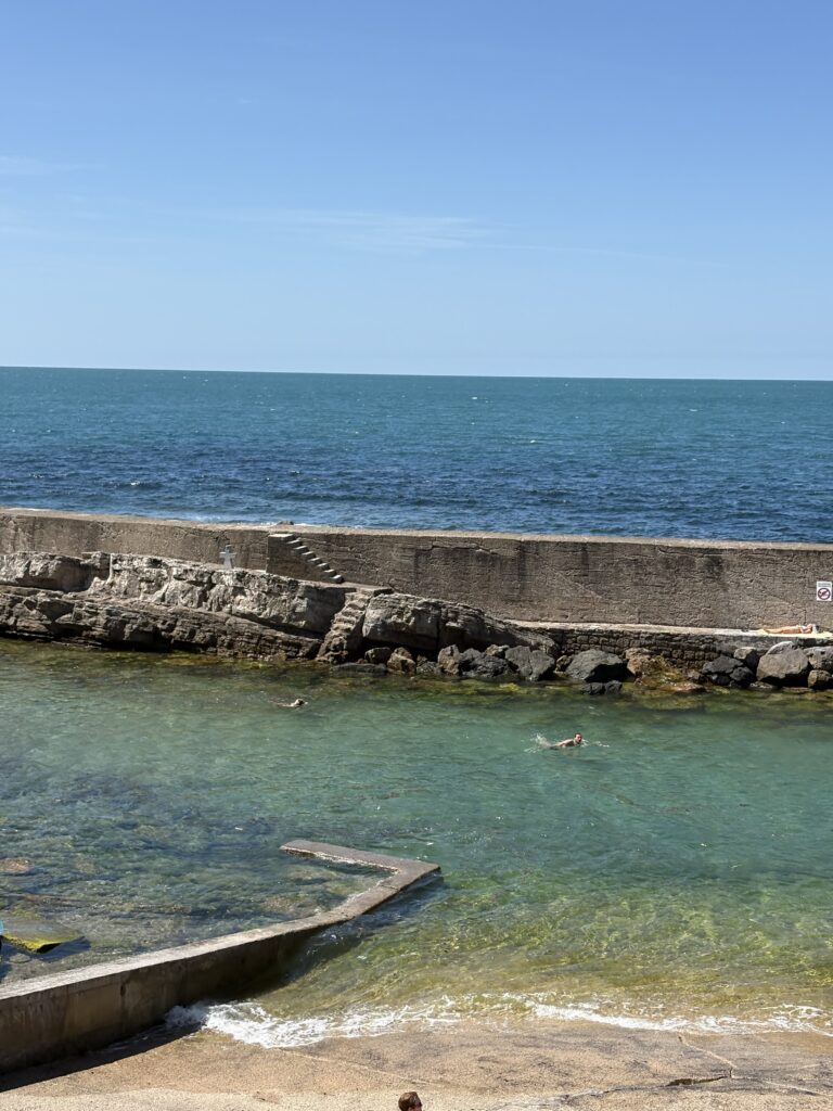 Dogs swimming in the sea at Gu&eacute;thary beach on a hot summer day