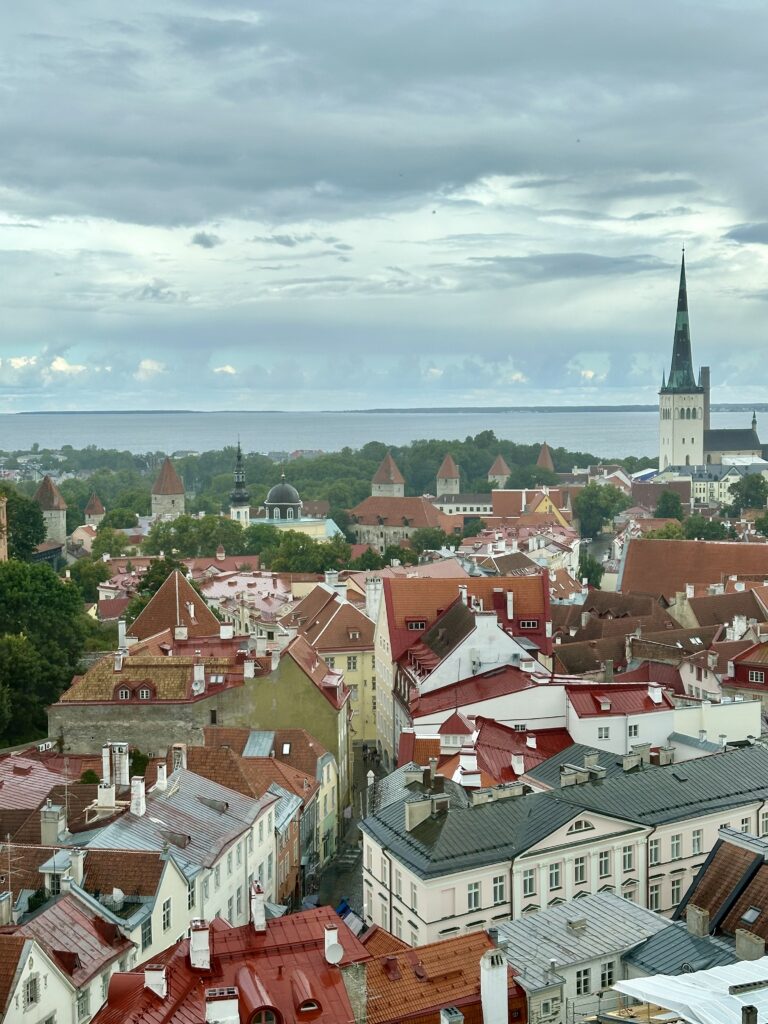 Tallinn Old Town rooftops and spires in summer