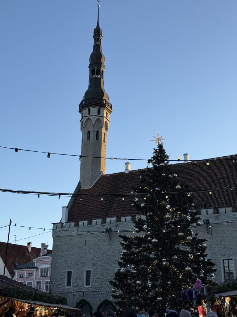 Tallinn Christmas Market tree on Town Hall Square in daylight, Town Hall spire behind