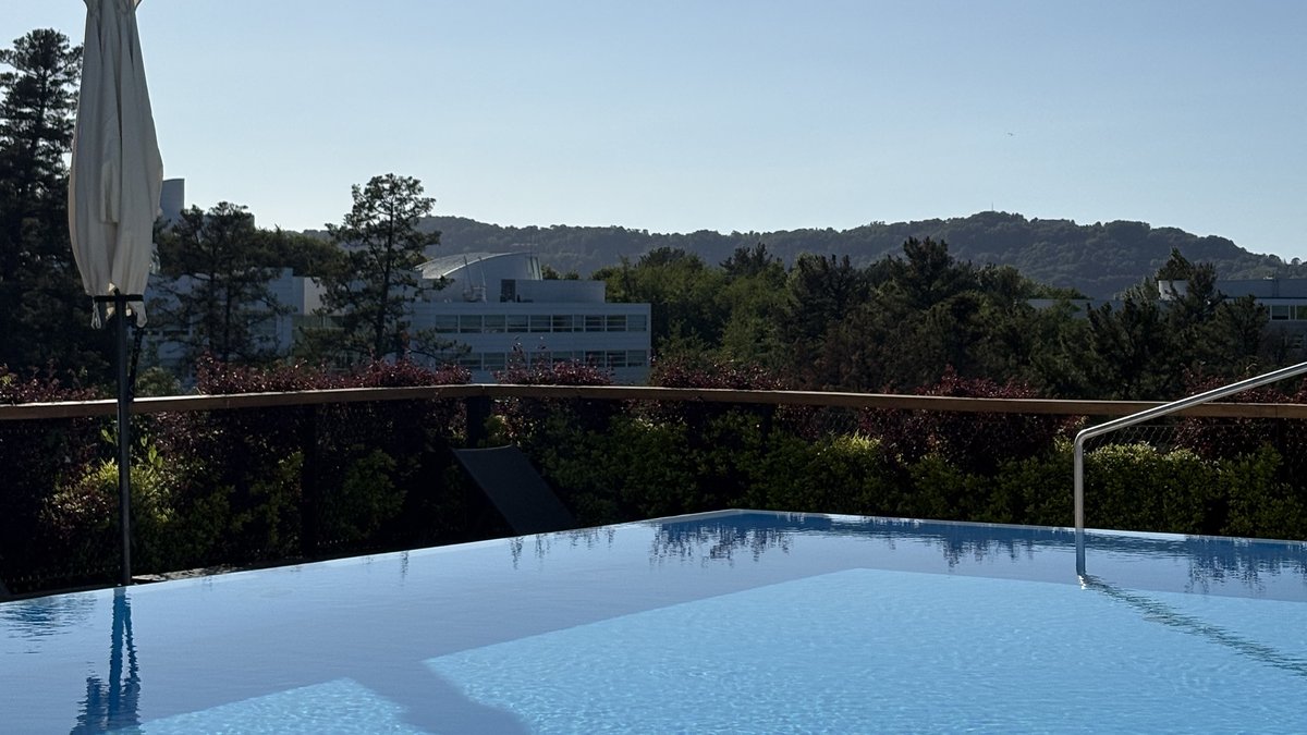 Rooftop infinity pool above the treetops at Arima Hotel & Spa in San Sebastián