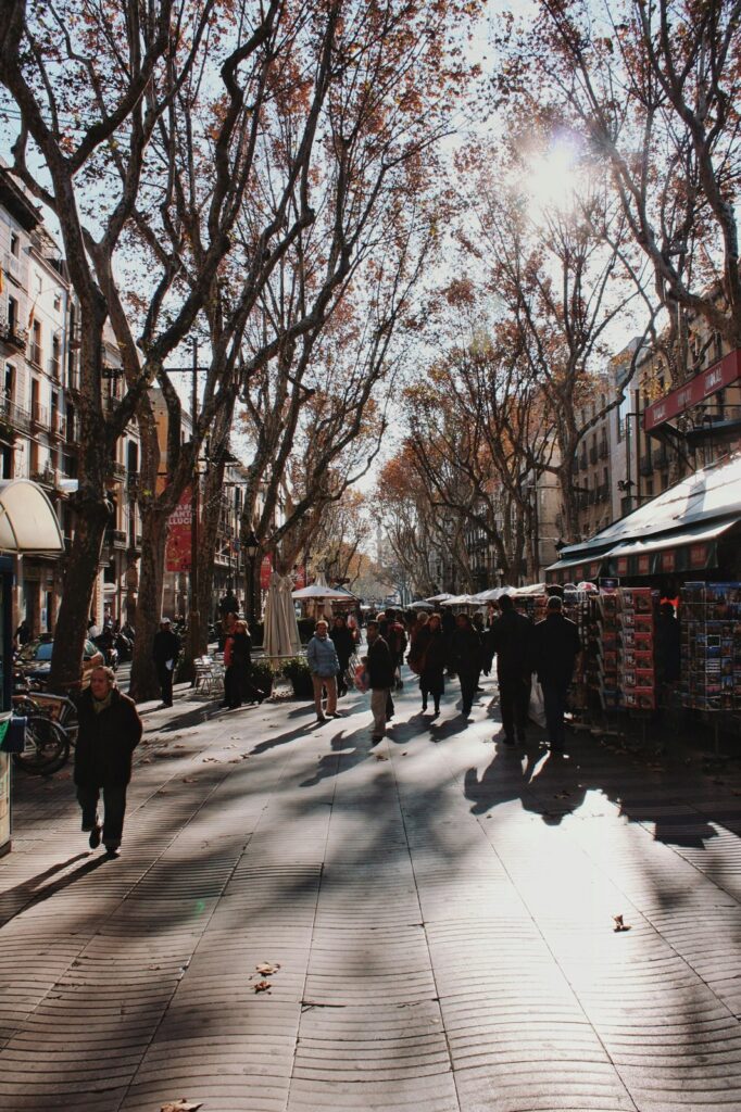 Plane trees and pedestrians on a Barcelona boulevard in autumn