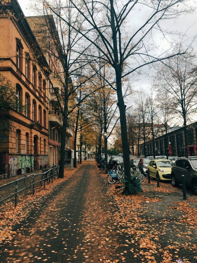 A pavement covered in fallen leaves in Berlin in autumn