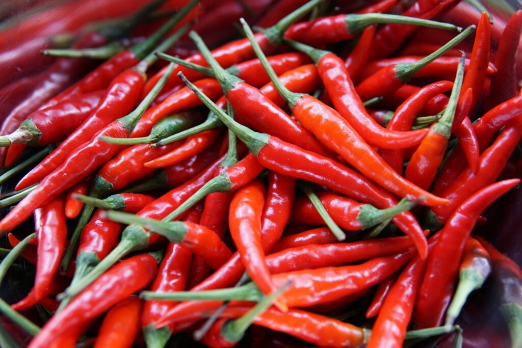 Fresh red chilli peppers in close-up