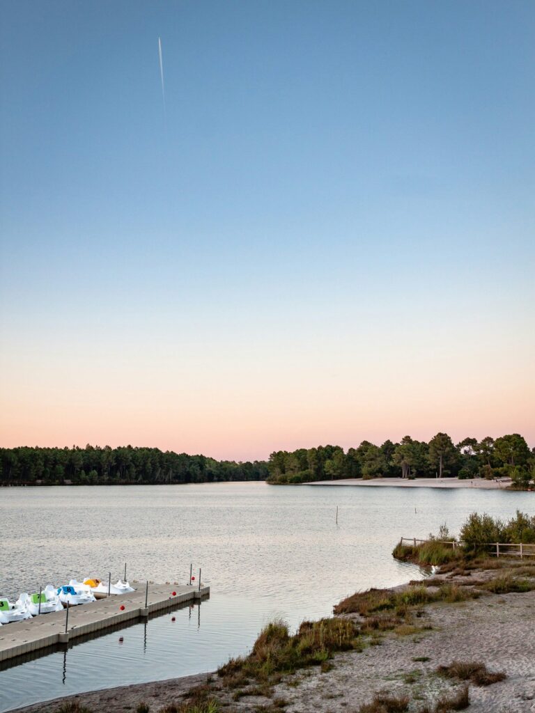 Landes'i järv õhtul, männimets ja vesirattad